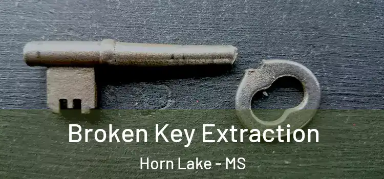  Broken Key Extraction Horn Lake - MS