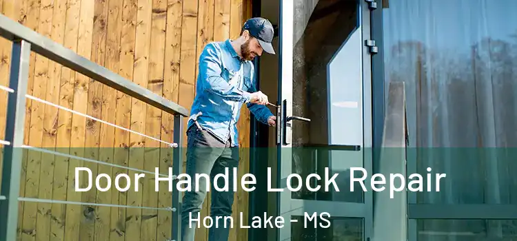 Door Handle Lock Repair Horn Lake - MS