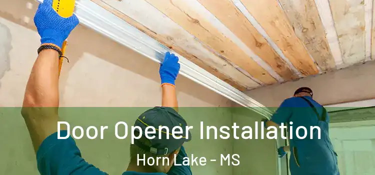  Door Opener Installation Horn Lake - MS