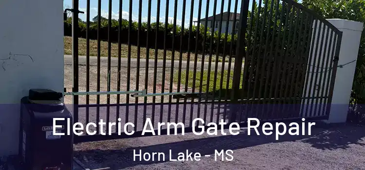  Electric Arm Gate Repair Horn Lake - MS
