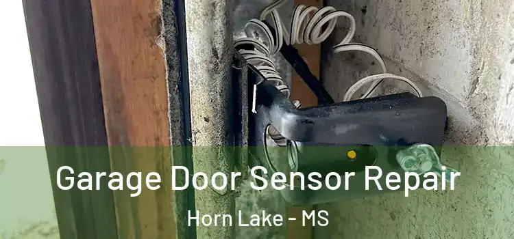 Garage Door Sensor Repair Horn Lake - MS