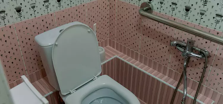 Meeting Diverse Needs With Accessible Restroom Solutions in Horn Lake, MS