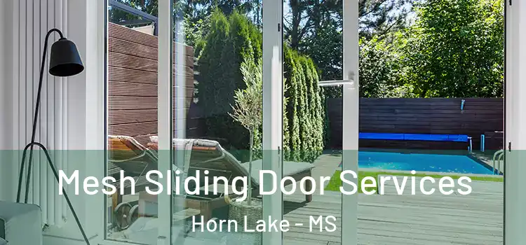 Mesh Sliding Door Services Horn Lake - MS